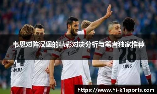 韦恩对阵汉堡的精彩对决分析与笔者独家推荐